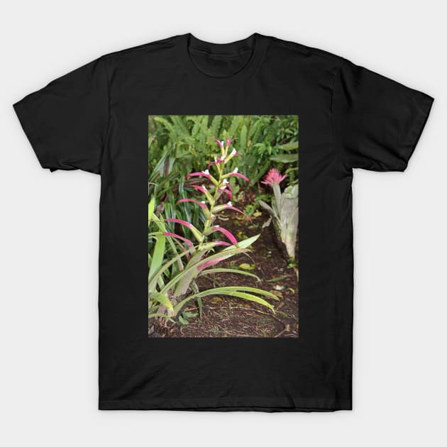 Bromeliads T-Shirt by Carole-Anne